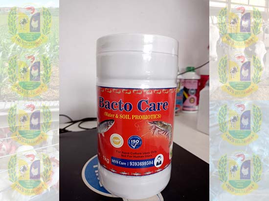 Bactocare 1 kg